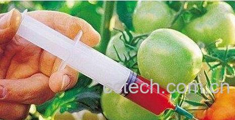 转基因食品的危害-0