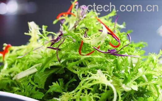 果蔬百科口苦的原因和治疗方法-0