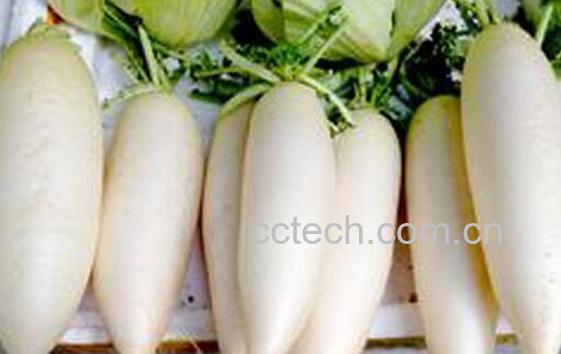 果蔬百科鼻子不通气怎么办-0