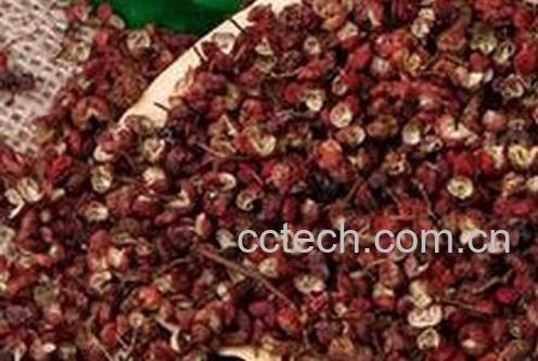 果蔬百科花椒水泡脚的功效与作用-0