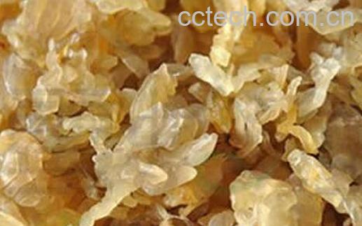 果蔬百科林蛙油的鉴别方法-0