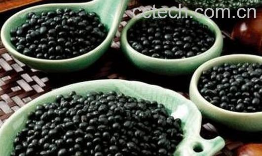 果蔬百科 防脱发的常见食疗-0