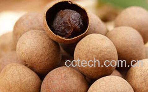 果蔬百科女人吃什么能补肾-0