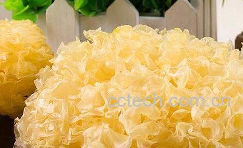 果蔬百科雾霾天气吃什么好-0