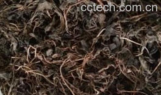 果蔬百科治疗糖尿病的食疗方-0