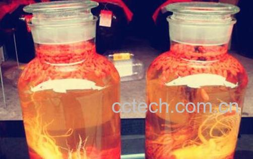 果蔬百科补肾的常见偏方-0