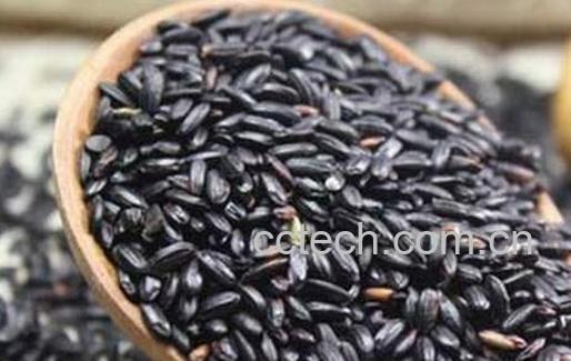 果蔬百科哪些食物能防白发-0