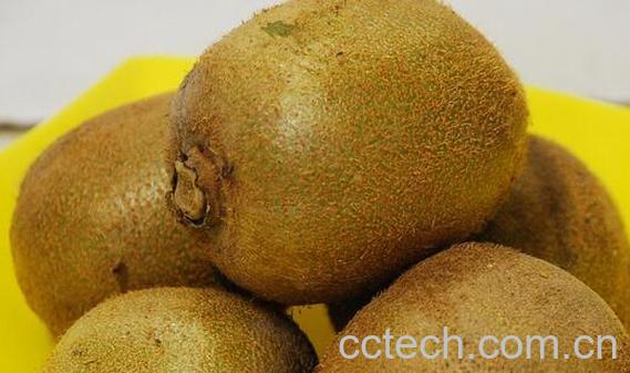 果蔬百科常见的抗癌食物有哪些-0