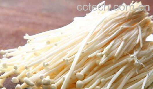 果蔬百科过敏性鼻炎吃什么好-0