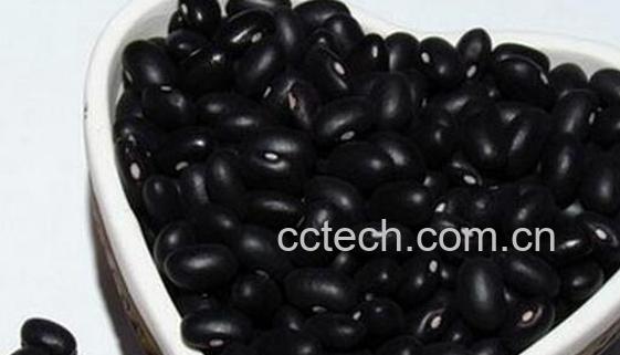 果蔬百科中医养肾吃什么好-0