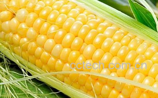 果蔬百科疏通血管吃什么好-0