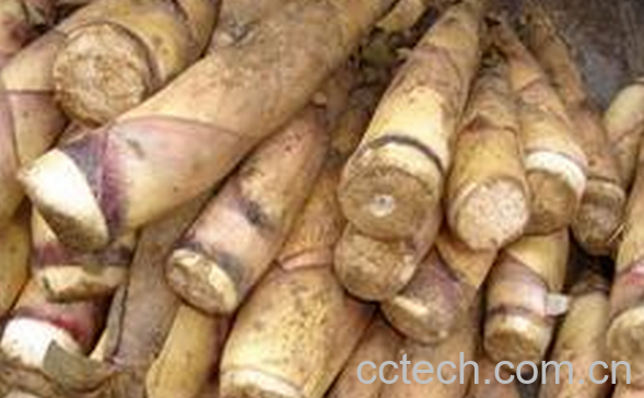 果蔬百科秋天吃什么排毒效果好-0