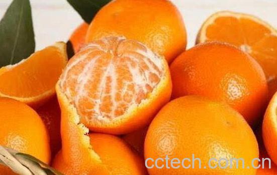 果蔬百科烫伤以后吃什么好 烫伤以后不能吃什么-0