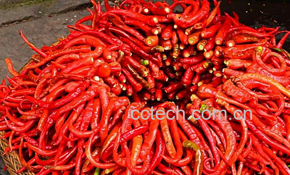 果蔬百科治疗冻疮的偏方有哪些-0