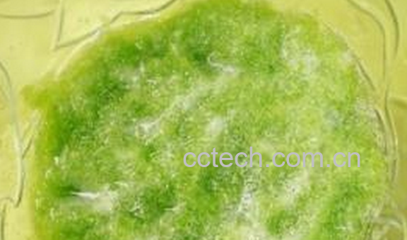 果蔬百科上火牙痛怎么办-0