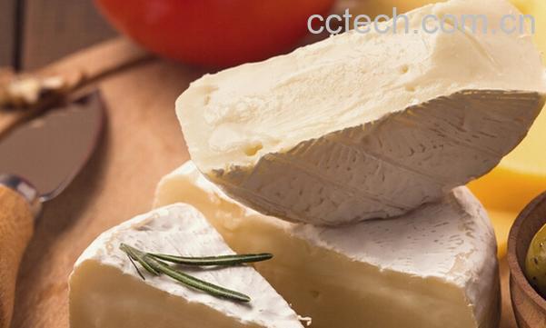 果蔬百科奶酪怎么吃好-0