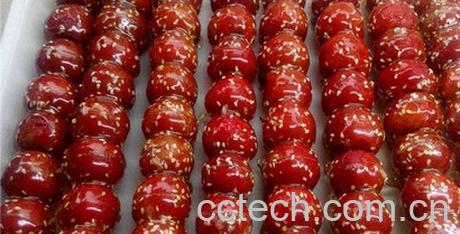 果蔬百科老北京冰糖葫芦怎么做-0