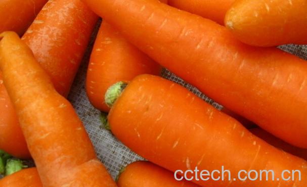 果蔬百科延缓衰老的十种食物-0