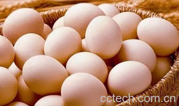 果蔬百科洗过的鸡蛋为什么会变质-0