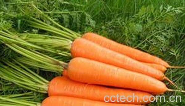 果蔬百科吃什么能长高-0