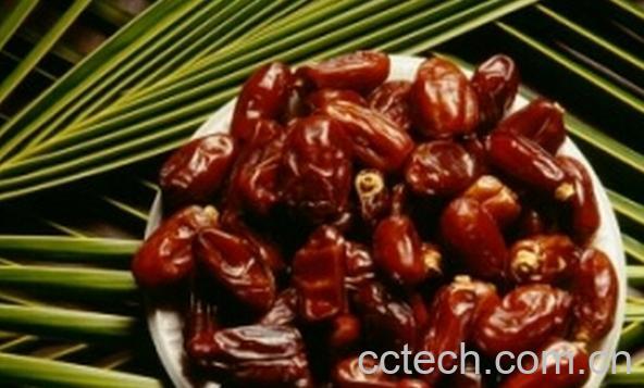 果蔬百科胃寒吃什么好-0