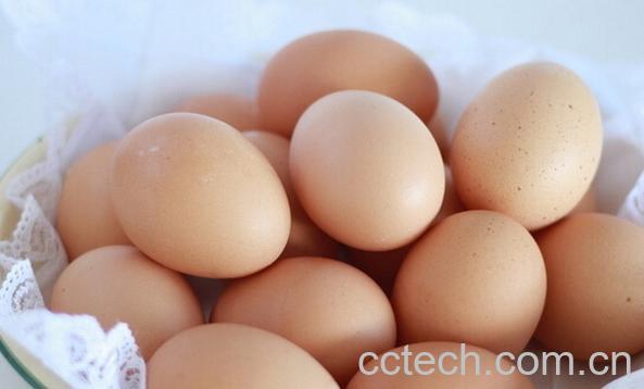果蔬百科夏天如何防止鸡蛋变质-0