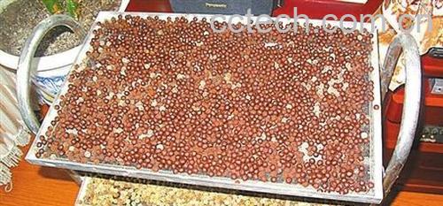 果蔬百科自制中药丸保质期-0