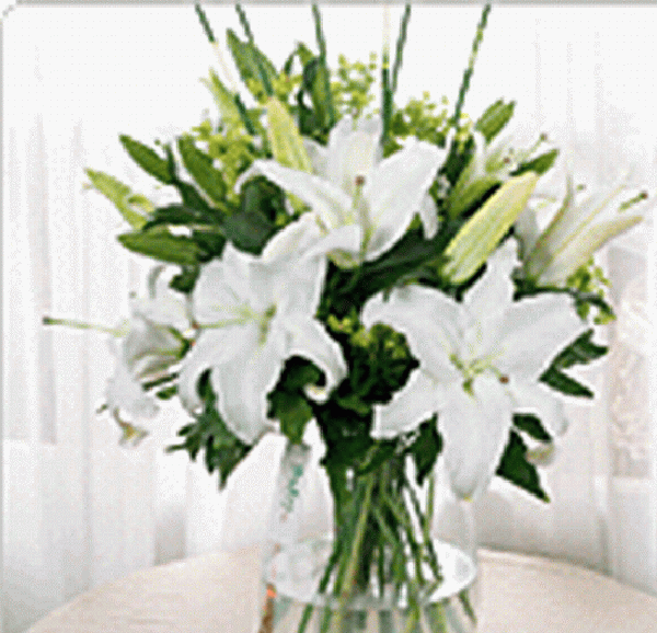 果蔬百科鲜花-0