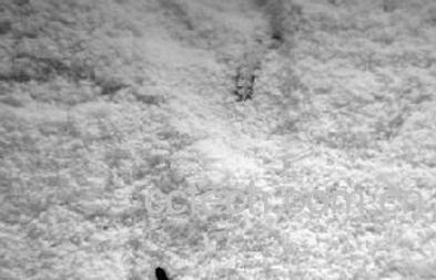 果蔬百科奶粉的保质期是多长时间-0