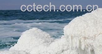 果蔬百科海盐保质期-0