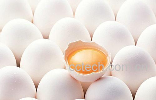 果蔬百科鸡蛋的保质期是多久-0