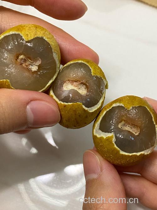 桂圆肉上火吗 吃桂圆肉可以多吃吗