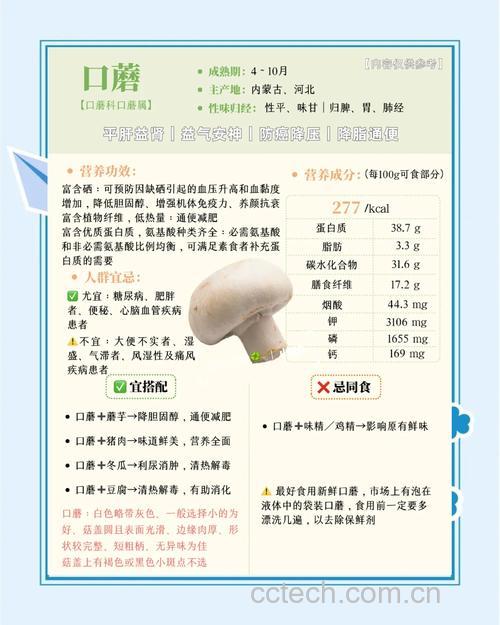 白蘑菇的功效与作用 白蘑菇能吃吗