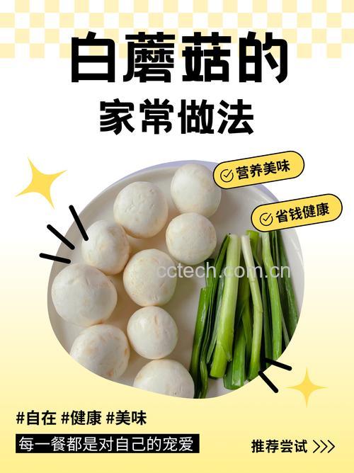 白蘑菇要焯水吗 白蘑菇的做法