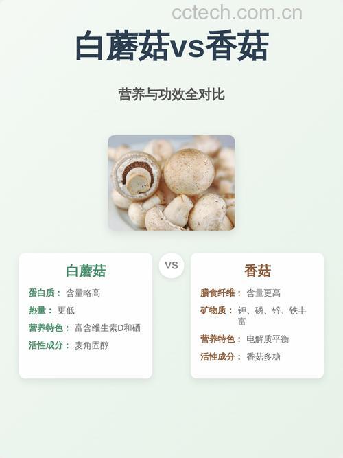 白蘑菇和什么相克 白蘑菇和什么不能一起吃