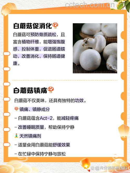 白蘑菇功效 白蘑菇热量是多少