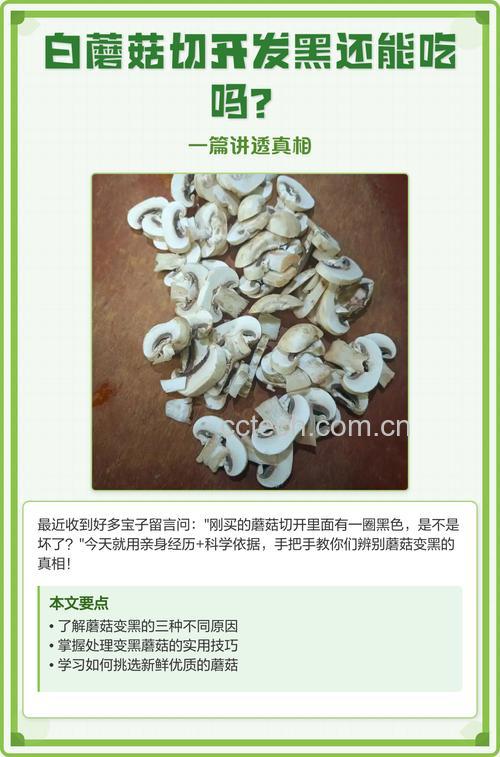 白蘑菇发黑是为什么 白蘑菇发黑了还能吃吗