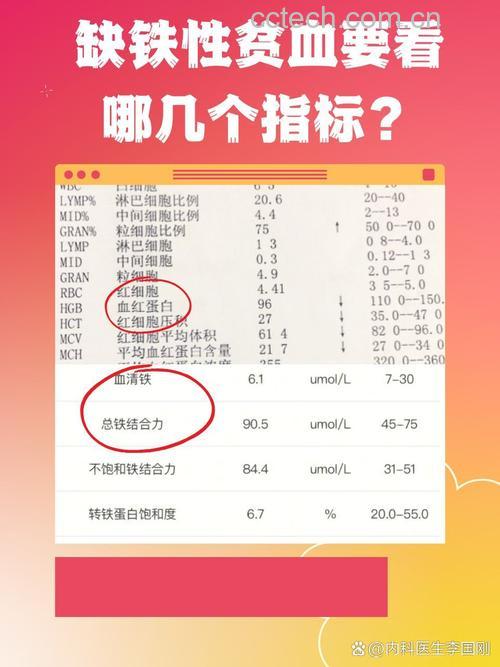 缺铁性贫血查哪三项 缺铁性贫血检查项目