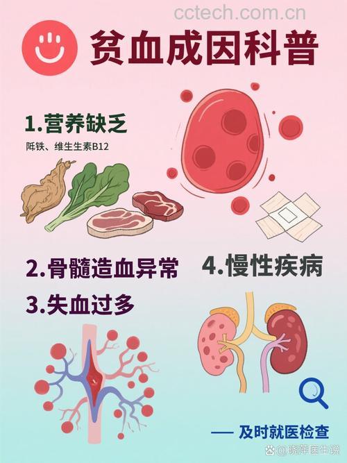 缺铁性贫血的主要原因是什么 为什么会缺铁性贫血