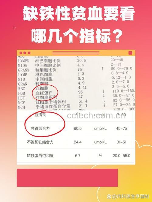 缺铁性贫血的指标有哪些?