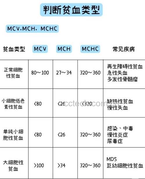 缺铁性贫血的血检项目有哪些?