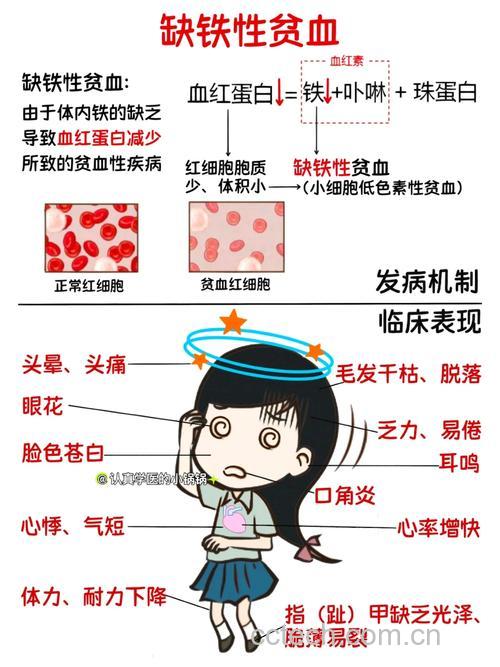 缺铁性贫血的血象特点是什么?