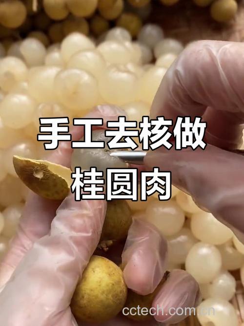 快速剥干桂圆肉的方法