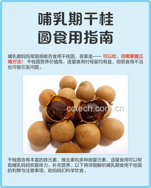 哺乳期能吃干桂圆肉吗?