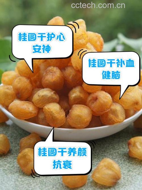 老年人可以吃干桂圆肉吗?
