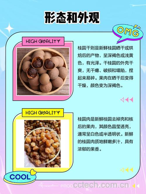 桂圆干和干桂圆肉的区别对比