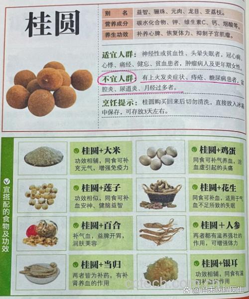 干桂圆肉吃多了会上火吗?