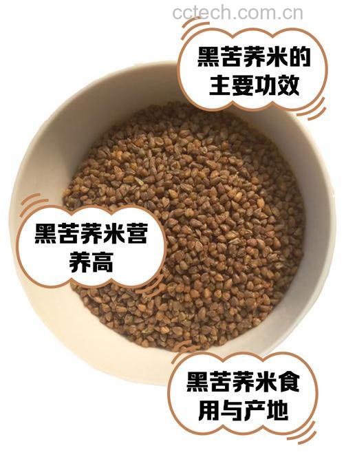 荞麦米什么颜色好?怎么挑