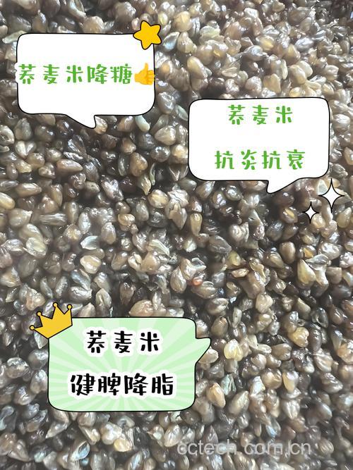 有机荞麦米怎么吃?有机荞麦米值得买吗