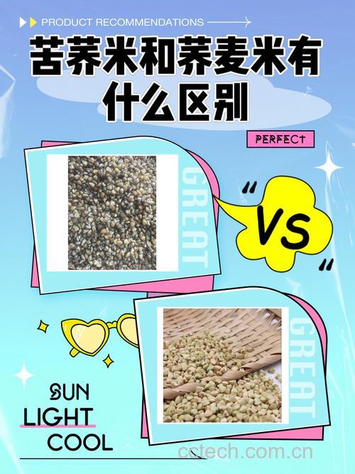 荞麦米和苦荞米哪个更好?